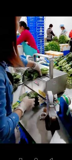 智能農業革命 一臺設備如何讓這家工廠的蔬菜銷量翻番